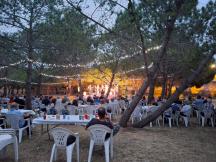 Programa de m� de la segona edici� de les jornades gastron�miques de la fava i el moscatell